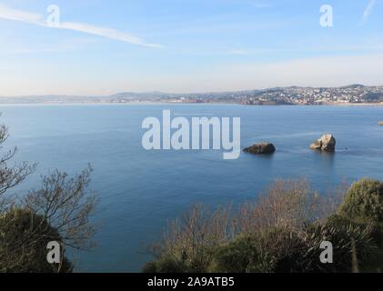 Babbacombe & Torquay 221115 Stockfoto