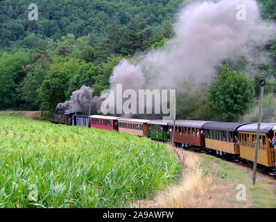 Die kleine Dampfeisenbahn verbinden Sie das Dorf Tournon-sur-Rhône und Lamastre im Französischen der Ardèche bietet Ihnen das Region. Die bergige Pfad windet sich auf einer Länge von 30 km. Stockfoto