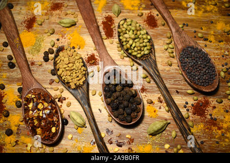 Spice Löffel mit Chili Flocken, Bockshornkleesamen, schwarzer Pfeffer, Koriander und Senf. Stockfoto