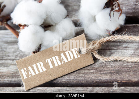Baumwolle Pflanze gegen Holz- Hintergrund mit Label Stockfoto