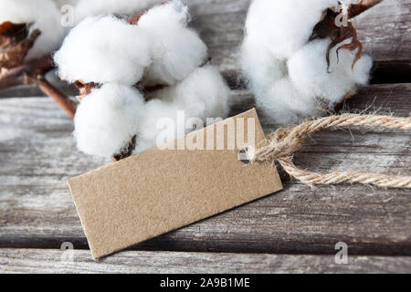 Baumwolle Pflanze gegen Holz- Hintergrund mit Label Stockfoto