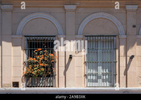 Zwei Fenster mit orangefarbenen Blumen. Siesta Zeit ist heilig in ganz Lateinamerika und Spanien, vor allem während der Sommernachmittage. Stockfoto
