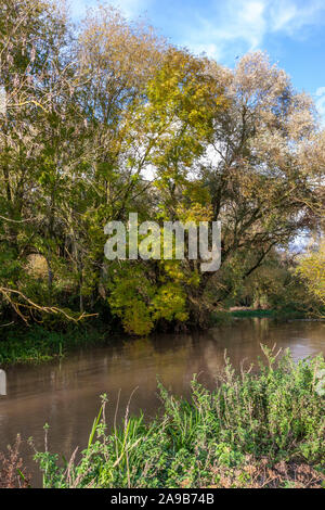 Fluss Nene in vollem Fluss wegen der starken Regenfälle, Northamptonshire. UK. Stockfoto