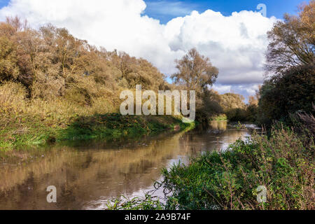 Fluss Nene in vollem Fluss wegen der starken Regenfälle, Northamptonshire. UK. Stockfoto