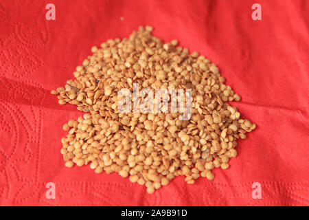 Gebratene Mung Bean auf rotem Hintergrund. Gelbe Linsen auf rotem Hintergrund isoliert. Makroaufnahme. gelbe Linse Samen. Stockfoto