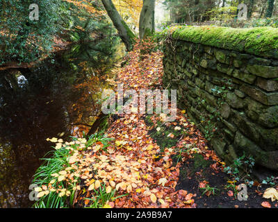 Old Mill Race für Gewächshäuser Mühle im Herbst in der Nähe der Gewächshäuser Pateley Bridge Nidderdale North Yorkshire England Stockfoto