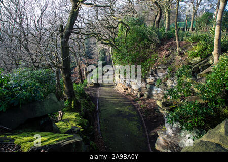 Einen abgelegenen Englischen Landschaftsparks, in Yorkshire im Frühjahr zeigt sowohl Laubabwerfende und immergrüne Pflanzen und Moos und attraktiven Weg und Mauerwerk Stockfoto