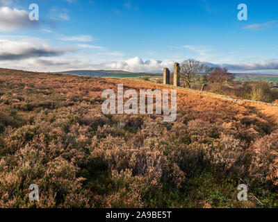 Herbst Heidekraut und Adlerfarn bei Yorkes Torheit oder zwei Stoops, in der Nähe von Pateley Bridge Nidderdale North Yorkshire England Stockfoto