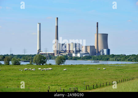 01.06.2019, Dinslaken, Nordrhein-Westfalen, Deutschland - Rheinauen in Dinslaken - Im Hintergrund das Kraftwerk Voerde. 0 RL 190601 D 021 CAROEX.JPG Stockfoto