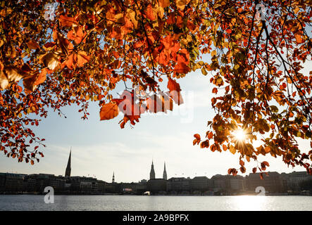 Hamburg, Deutschland. 14 Nov, 2019. Blätter im Herbst rot glühen am Ufer der Binnenalster in der Sonne vor der Hamburger Silhouette. Credit: Gregor Fischer/dpa/Alamy leben Nachrichten Stockfoto