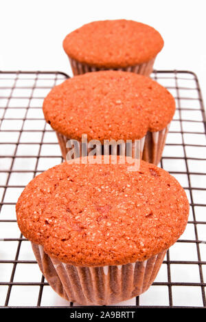 Hausgemachte red velvet Cupcakes in einer Reihe ohne Vereisung Kühlung auf die schwarze Küche Kühlung Rack. Der weiße Hintergrund ist isoliert. Stockfoto