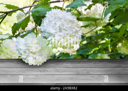 Wellness Hintergrund mit Blumen Stockfoto
