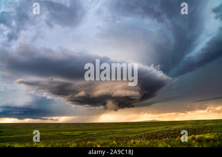 Supercell-Gewitter spinnt sich während eines Unwetterausbruchs in der Nähe von Roundup, Montana, über ein Feld Stockfoto