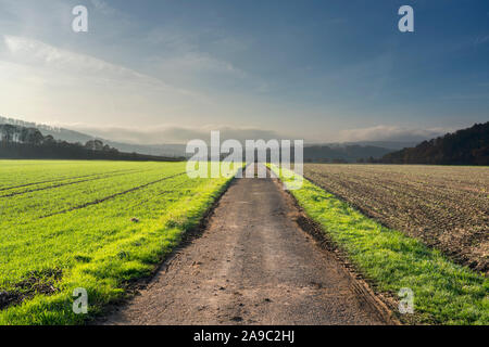 Pfad, geradeaus, Oberweser; Deutschland; Deutsch; Europa Stockfoto