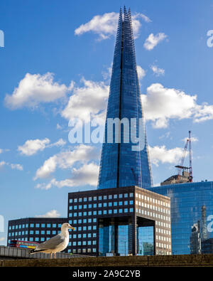 London, UK, 28. Januar 2019: Blick auf den Shard und London Bridge mit einer Möwe im Vordergrund, in London, UK. Stockfoto