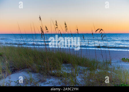 Florida Beach mit hohem Gras, Sand Dune und schönen Sonnenuntergang Stockfoto