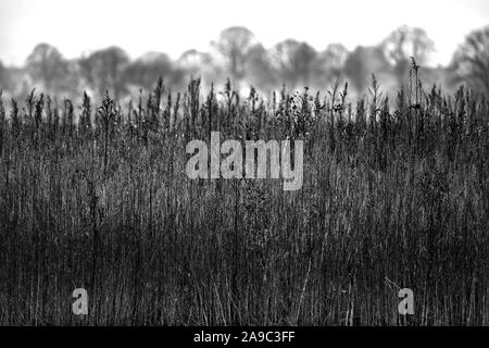 Landschaft, Oberweser; Deutschland; Deutsch; Europa Stockfoto