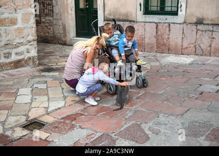 Montenegro, 20, 27, Sept 22, 2019: Mutter und Baby Brüder beobachten, kleine Mädchen beim Spielen mit Pussycat auf der Straße in Kotor Stockfoto