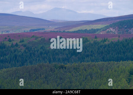 Landschaft, die die Südwand von Ben Klibreck in den schottischen Highlands von Sutherland Scotland UK zeigt Stockfoto