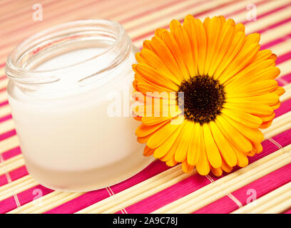 Sahne Topf mit Ringelblume Blumen Stockfoto