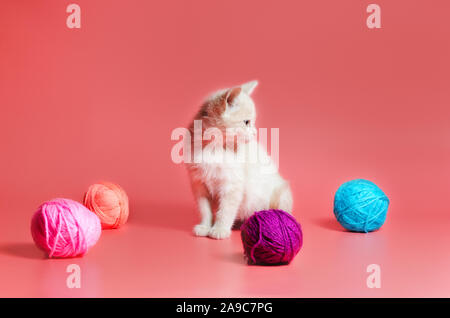 Kleines Kätzchen mit bunten Kugeln von Wollfäden auf einem rosa Hintergrund Stockfoto