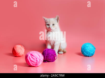 Kleines Kätzchen mit bunten Kugeln von Wollfäden auf einem rosa Hintergrund Stockfoto