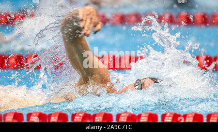 Berlin, Deutschland. 14 Nov, 2019. Schwimmen / Short Course: Deutsche Meisterschaft, ein - die letzten 100 m Frauen Freestyle im Schwimmen und springen Halle im Europa-Sportpark. Annika Bruhn der Neckarsulmer Sport-Union schwimmt zum Sieg. Credit: Andreas Gora/dpa/Alamy leben Nachrichten Stockfoto