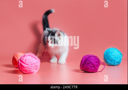 Kleines Kätzchen mit bunten Kugeln von Wollfäden auf einem rosa Hintergrund Stockfoto