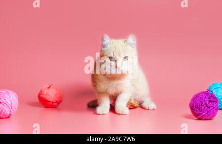 Kleines Kätzchen mit bunten Kugeln von Wollfäden auf einem rosa Hintergrund Stockfoto