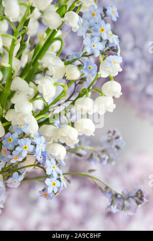 Frühling Vergißmeinnicht Blumen und Maiglöckchen Stockfoto