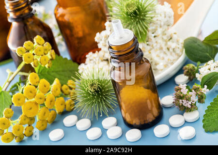 Naturheilkunde alternative Medizin und frischen Kräutern Stockfoto