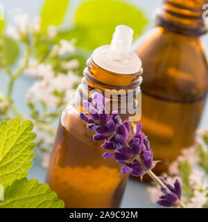 Naturheilkunde alternative Medizin Stockfoto