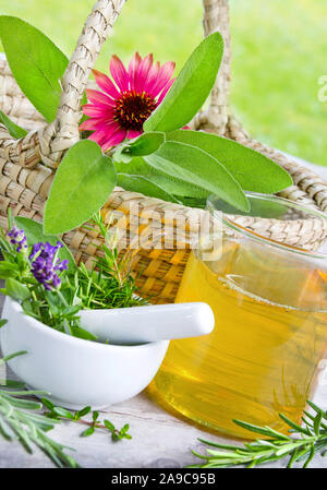 Kräutertee und frischen Kräutern Stockfoto