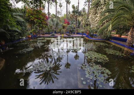 Detail der Gärten Jardin Majorelle in Marrakesch Stockfoto