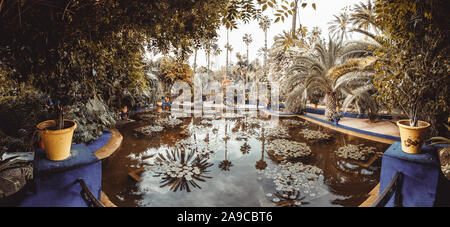 Detail der Gärten Jardin Majorelle in Marrakesch Stockfoto