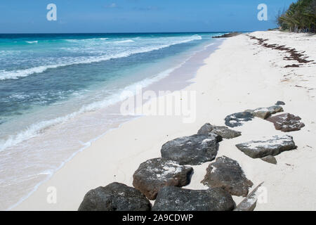 Hastings Rock Beach in der Nähe von Bridgetown auf der karibischen Insel Barbados Stockfoto