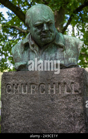 Eine Büste britischen Kriegszeiten leader Sir Winston Churchill, in Churchillparken gelegen, auch als Churchill Park bekannt, in der Stadt von Copehnagen, Dänemark. Stockfoto