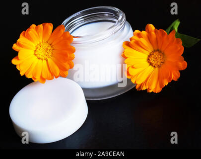 Sahne Topf mit Ringelblume Blumen Stockfoto