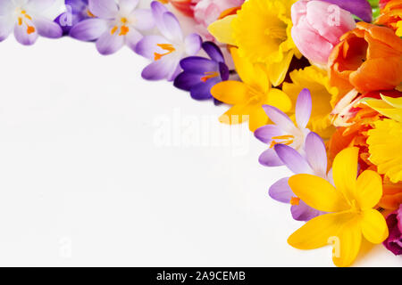 Frühling Blumen und weißen Hintergrund Stockfoto