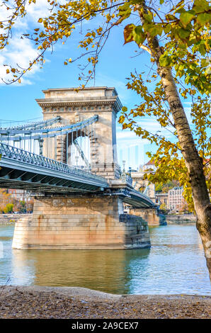 Bau der Széchenyi Kettenbrücke über die Donau in Budapest, Ungarn mit Herbst Baum, am Flussufer. Chain Bridge verbindet Buda und Pest. Touristische Attraktion. Die ungarische Hauptstadt. Stockfoto