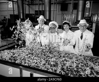 Cravens Candyland Süßwaren Unternehmen in York, Großbritannien, Großbritannien 1985 - Civic Würdenträger, die Kontrolle der Produktion in der Fabrik. LtoR Oberbürgermeisterin Dorothy Cooper, Polizeichef Ken König, Mavis Hardcastle der toffee Association, lady Sheriff Hilary König und Herrn Bürgermeister Ken Cooper Stockfoto