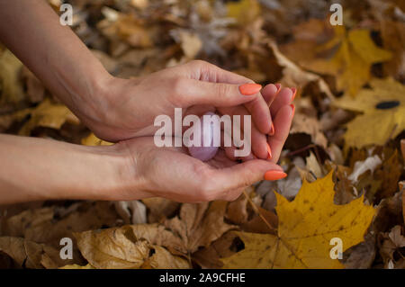 Weibliche hand mit orange Maniküre Holding rosa Quarz yoni Ei für vumfit, imbuilding oder Meditation auf gelbem Hintergrund Laub im Herbst Stockfoto