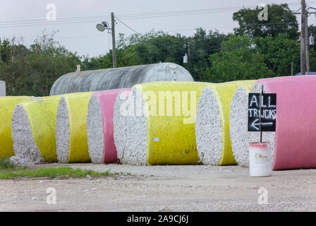 Regen - getränkte Module nicht entkörnter Baumwolle sitzen im Hof bei den Vereinten landwirtschaftliche Genossenschaft nach dem Hurrikan Harvey in Danevang, Texas. Stockfoto