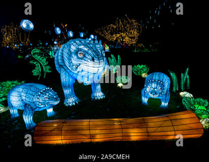 Edinburgh Zoo, Schottland, Großbritannien, 14. November 2019. Giant Lanterns im Edinburgh Zoo. Das Thema der diesjährigen spektakulären Laterne ist ‘Lost Worlds’ mit Dinosauriern, die über einen ausgedehnten Weg durch den Zoo wandern. Es bietet seltsame und wunderbare Kreaturen über 570 Millionen Jahre Tierwelt Stockfoto