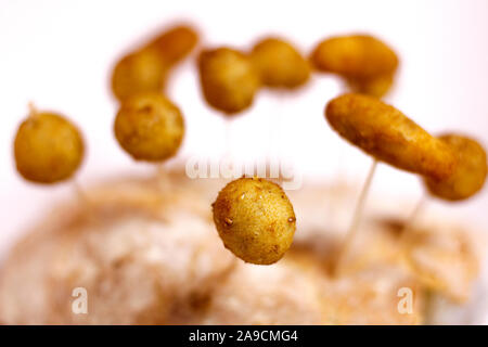 Kroketten auf Brot genagelt Stockfoto