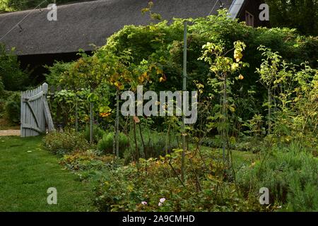 Üppigen botanischen Garten mit Bahn und weißen Tor Stockfoto