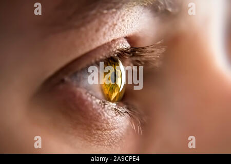 Ein Bild von einem honigfarbenen Augen iris Stockfoto