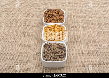 Gerichte der Essbare Insekten. Mehlwürmer/Tenebrio Molitor, kleine Grillen, Silkworm Puppen/Bombyx mori auf Sack. Für entomophagy, essbare Bugs, neuartige Lebensmittel Stockfoto