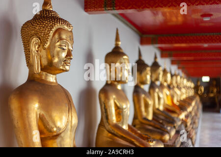 Die Reihe der Goldener Buddah Statuen im Wat Pho, Bangkok, Thailand. Eindrucksvoller Auftakt der verschiedenen goldener Buddah Statuen. Stockfoto