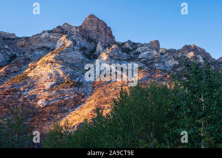 Gipfel hinter Thomas Creek Campground, Lamoile Canyon, Ruby Mountains in der Nähe von Elko, Nevada. Stockfoto